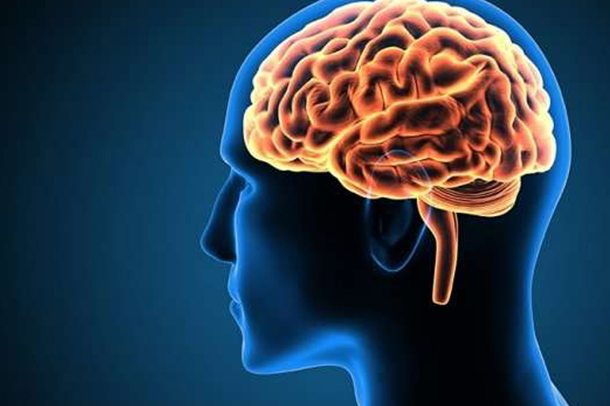Brain and Spine Department